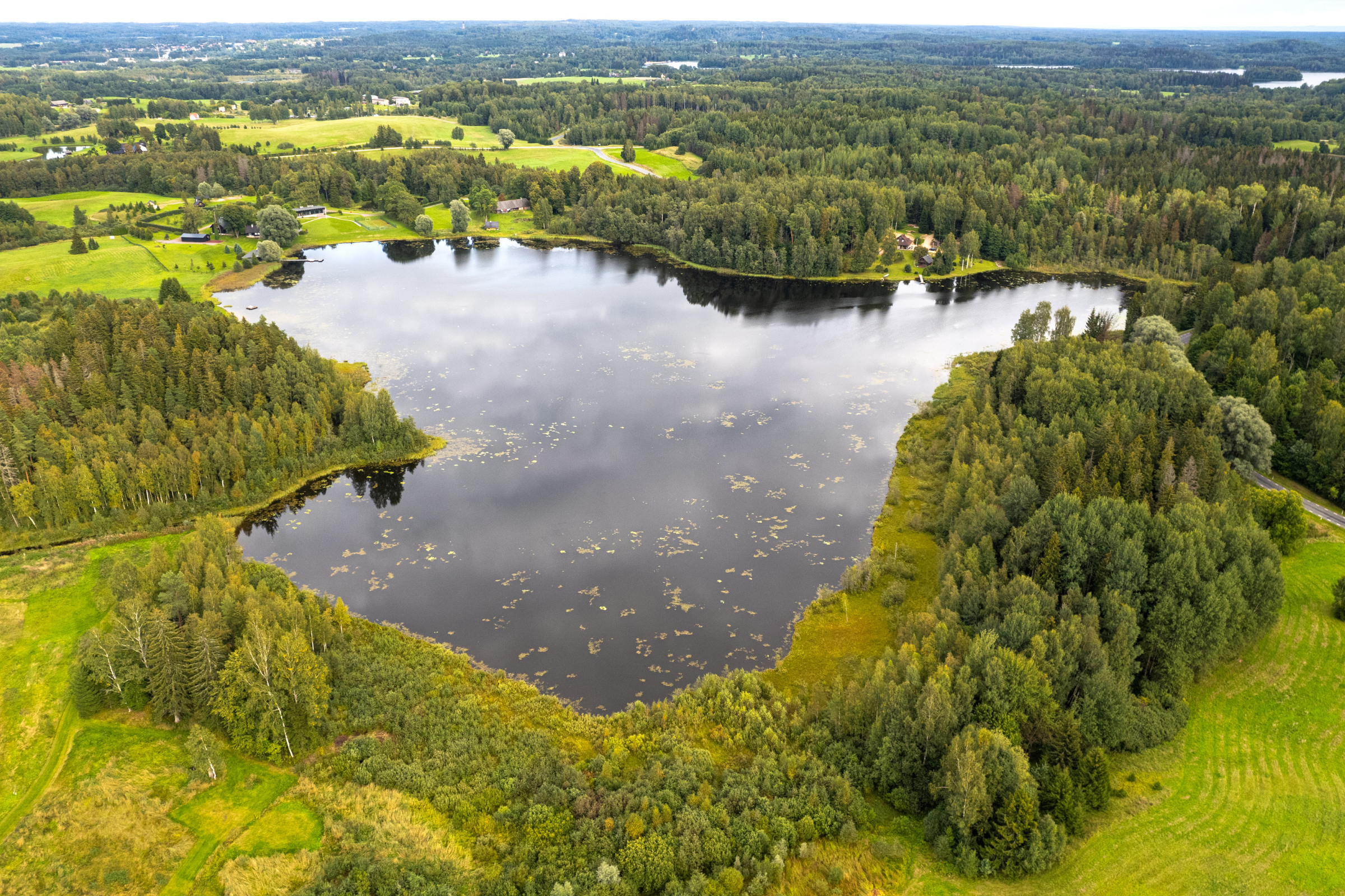 49_Estonia[1].webp
